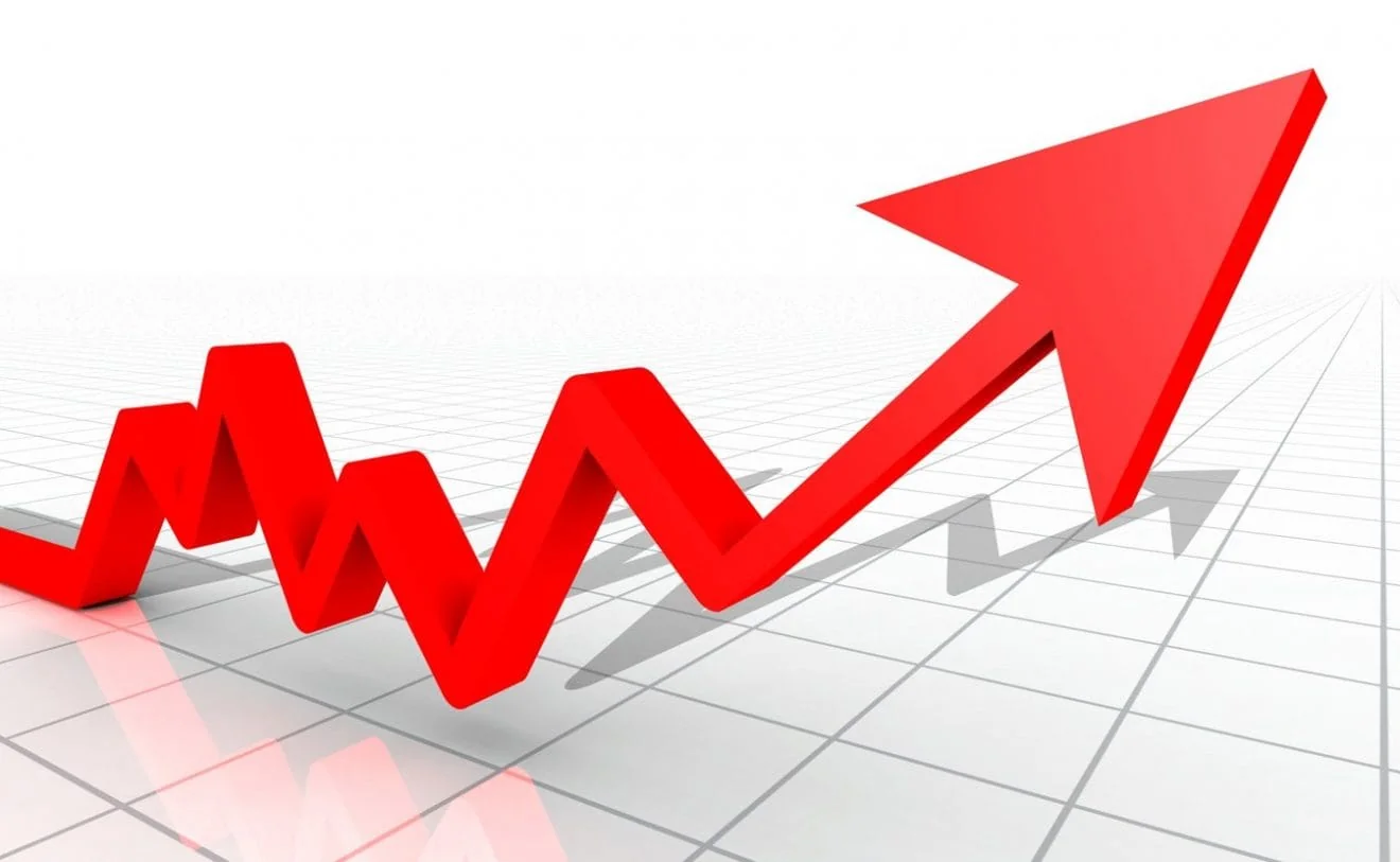 Growth Strategy Consultation